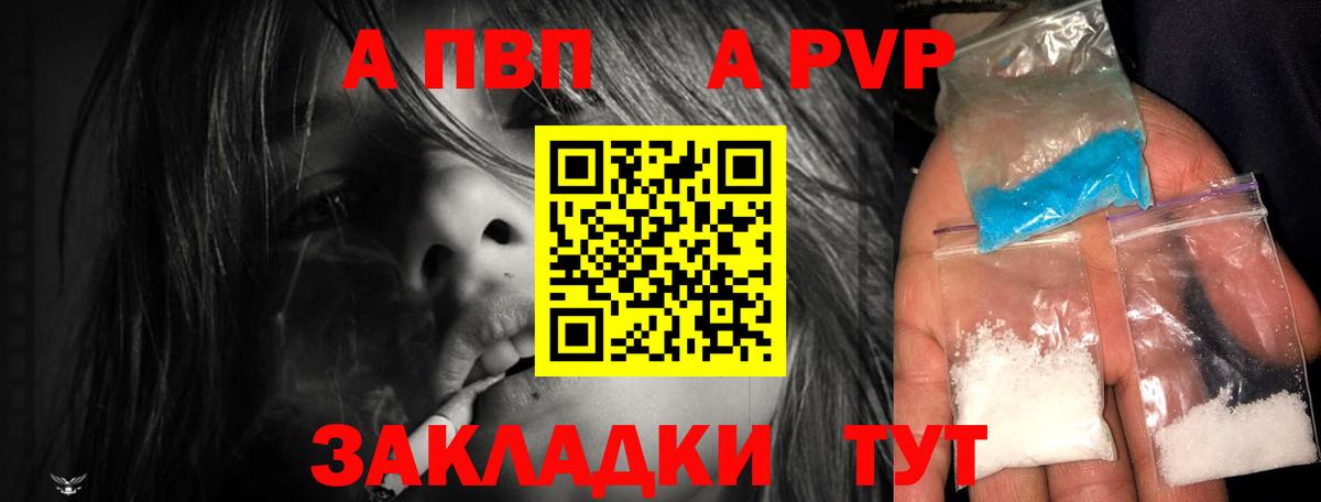 Альфа ПВП СК Новозыбков