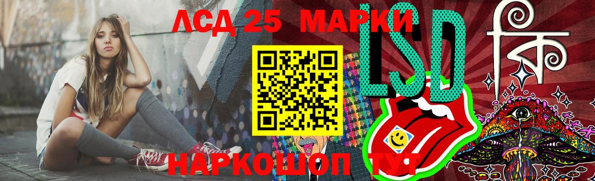 Новозыбков  Лсд 25 экстази кислота  LSD-25 экстази кислота  Вход с VPN 