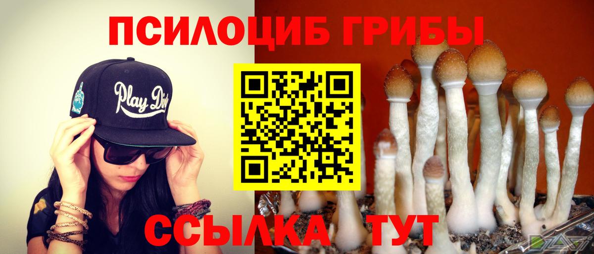 Галлюциногенные грибы Magic Shrooms Новозыбков